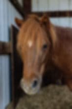 Self-Guided Retreats