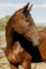 College Student Sessions