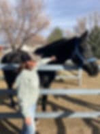 Women's Groups (Coming Soon)