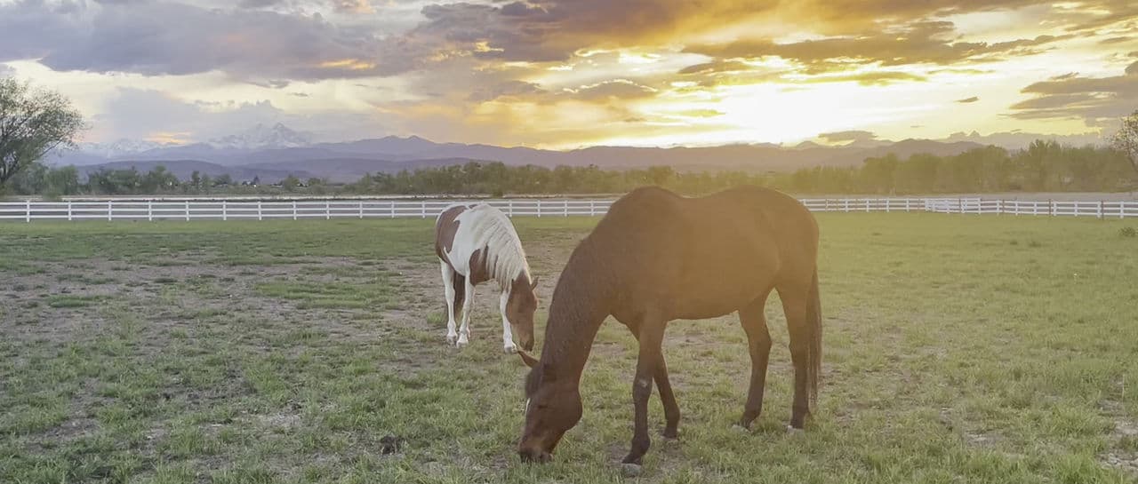 Acres of Hope Ranch landscape